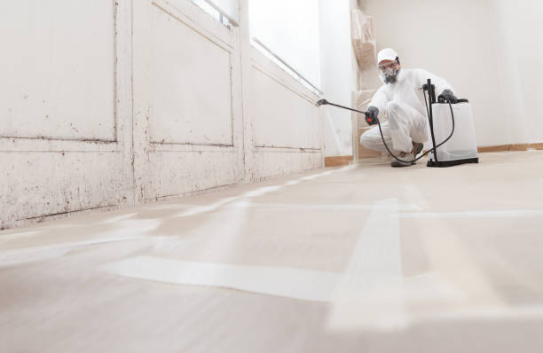 24/7 Emergency Basement Mold Removal experts in Annville, PA